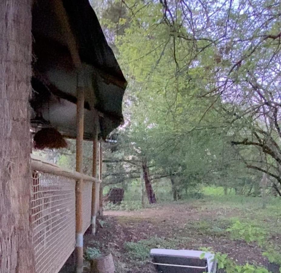 Ecolodge Beauregard Treigny Dış mekan fotoğraf