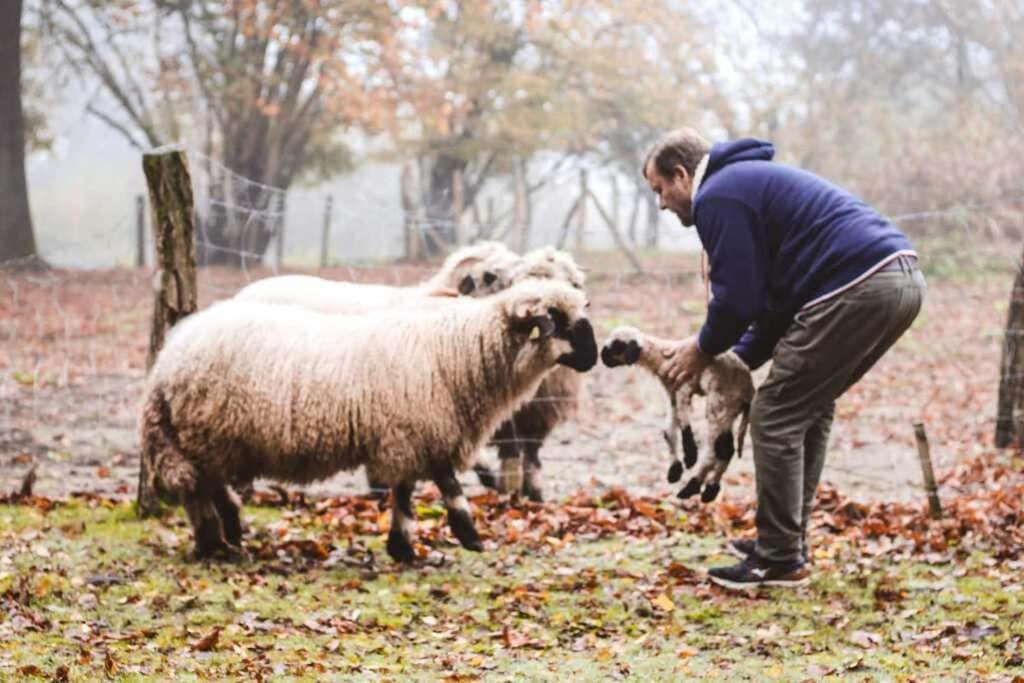 Ecolodge Beauregard Treigny Dış mekan fotoğraf