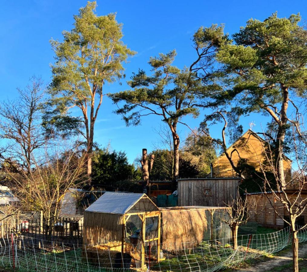 Ecolodge Beauregard Treigny Dış mekan fotoğraf