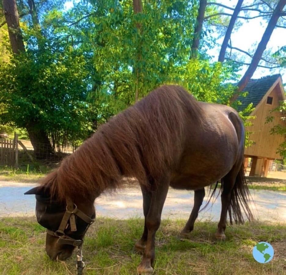 Ecolodge Beauregard Treigny Dış mekan fotoğraf