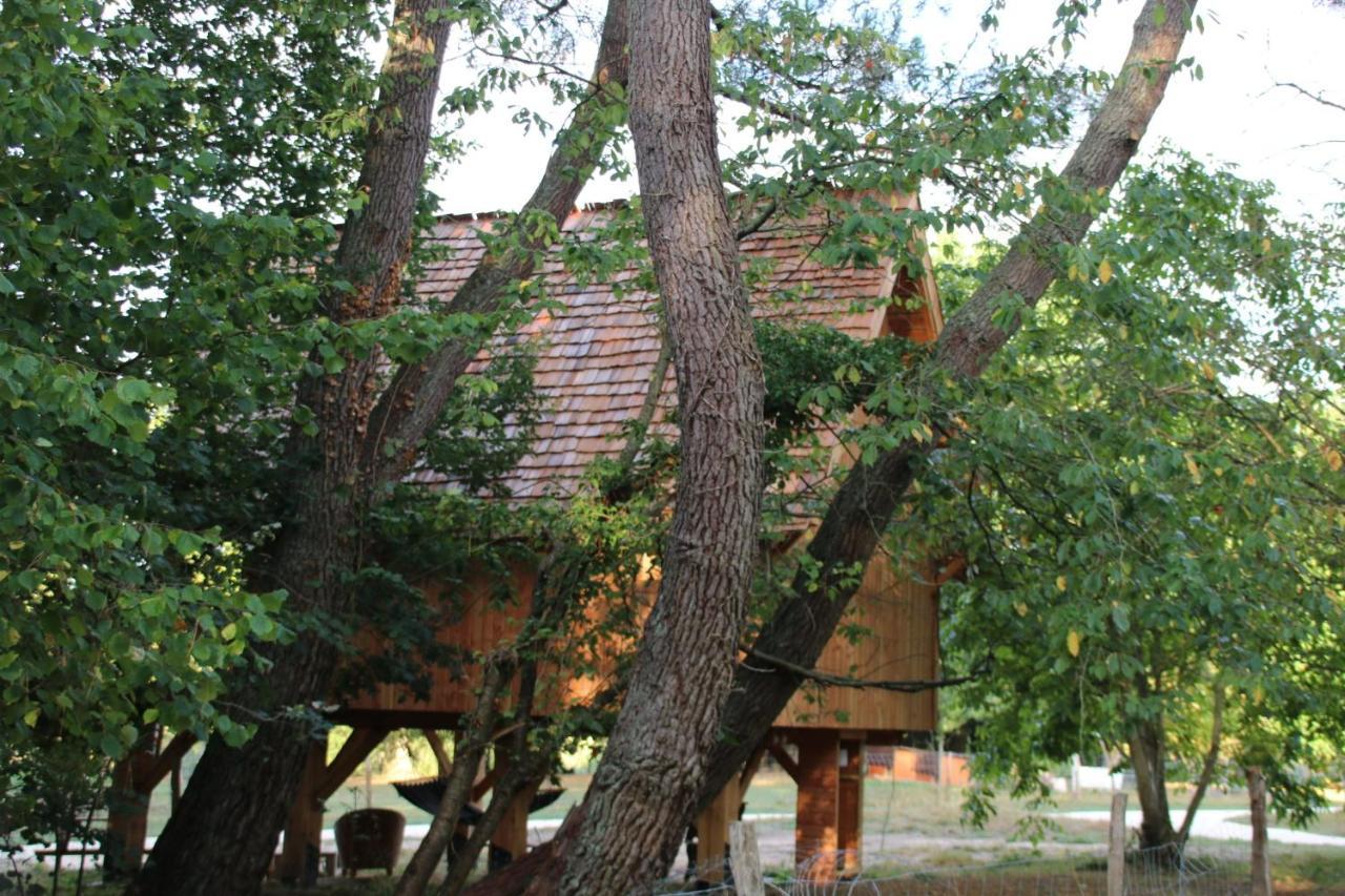 Ecolodge Beauregard Treigny Dış mekan fotoğraf