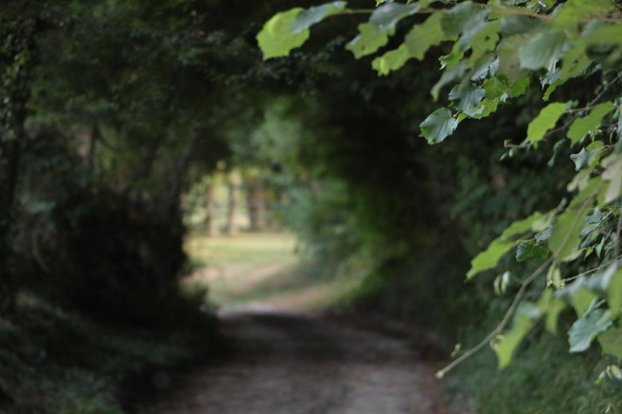 Ecolodge Beauregard Treigny Dış mekan fotoğraf