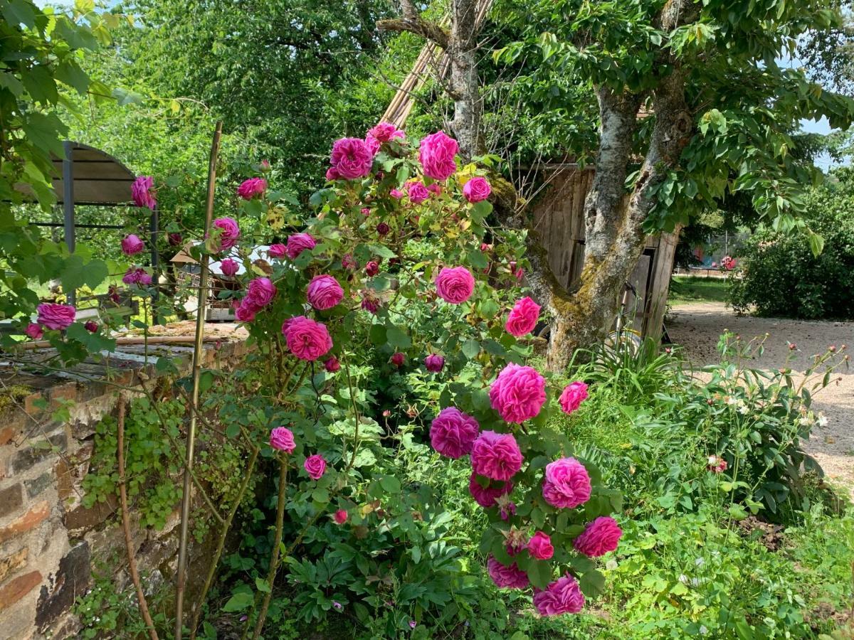 Ecolodge Beauregard Treigny Dış mekan fotoğraf
