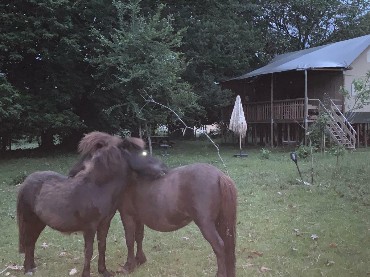 Ecolodge Beauregard Treigny Dış mekan fotoğraf