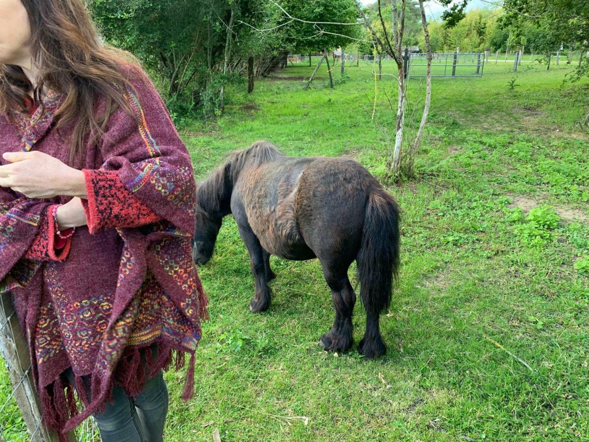 Ecolodge Beauregard Treigny Dış mekan fotoğraf