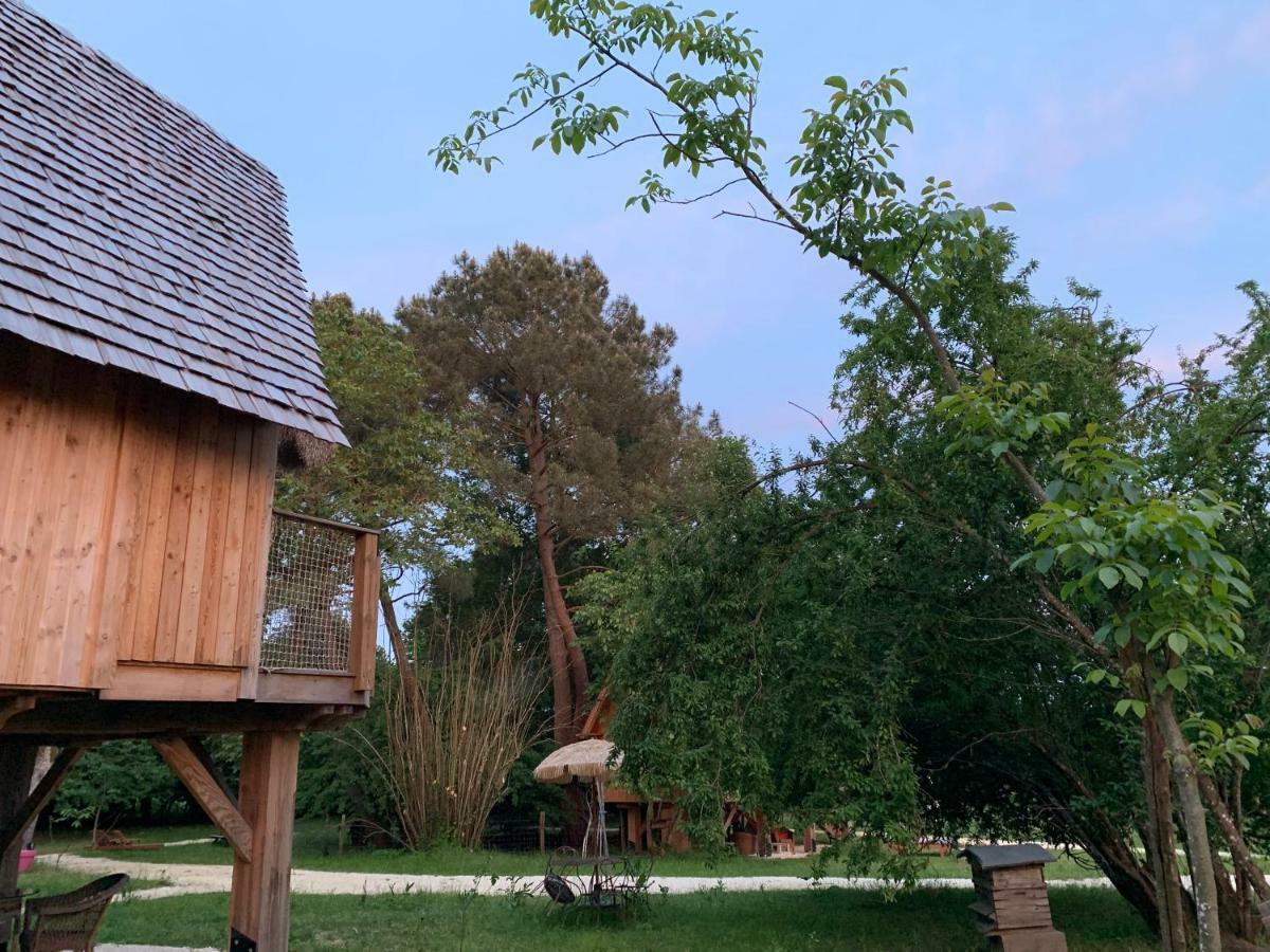 Ecolodge Beauregard Treigny Dış mekan fotoğraf