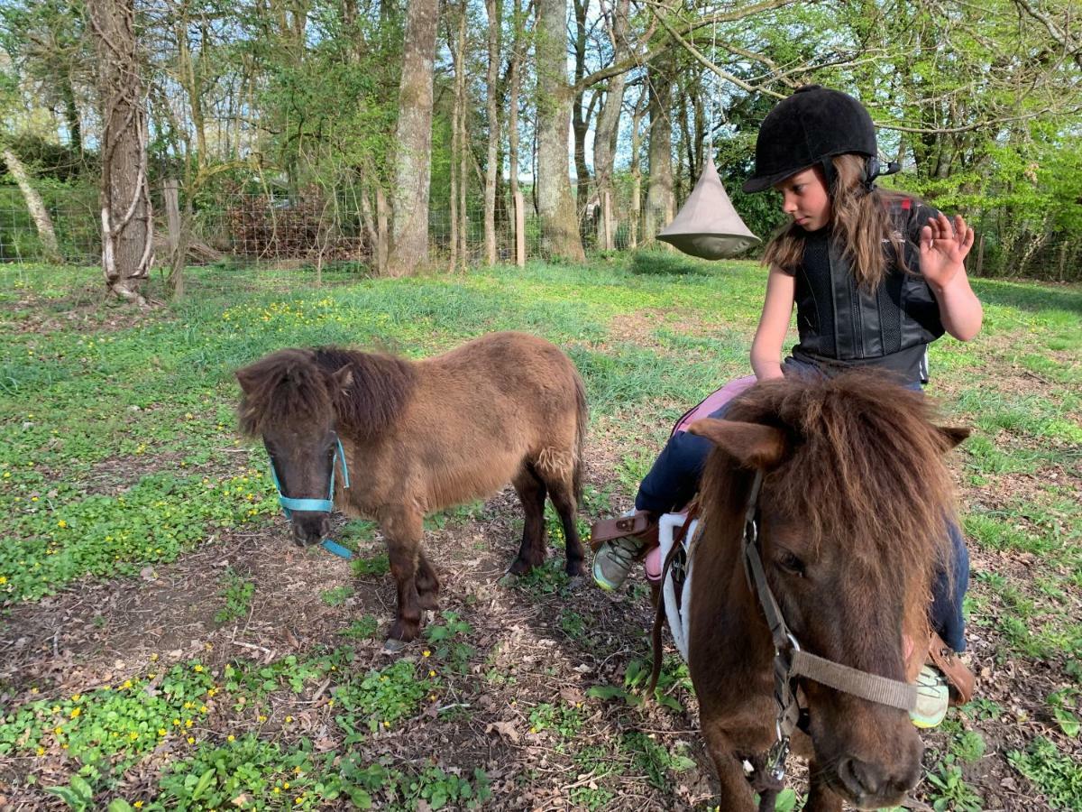 Ecolodge Beauregard Treigny Dış mekan fotoğraf