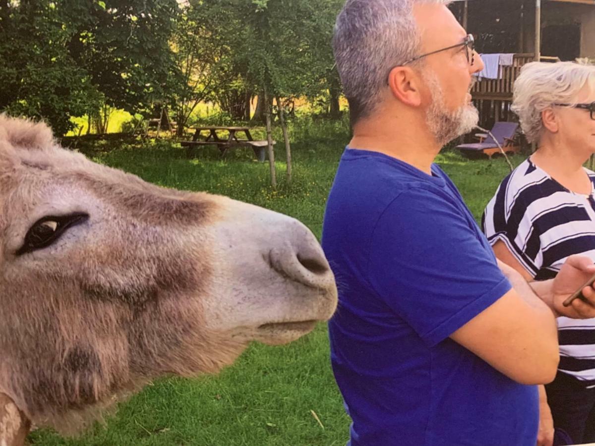Ecolodge Beauregard Treigny Dış mekan fotoğraf
